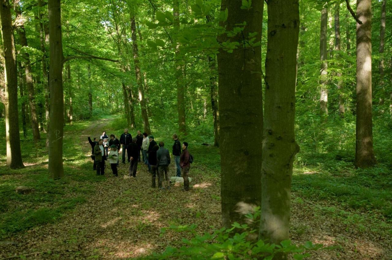 Gutshaus Von Bismarck Lägenhet An der Schmucke Exteriör bild