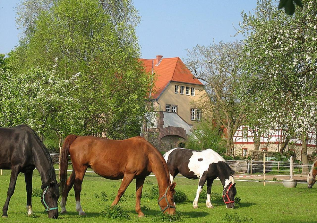 Gutshaus Von Bismarck Lägenhet An der Schmucke Exteriör bild